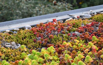 the cost of Tyrells End green roof installation