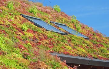 Tyrells End living roof systems
